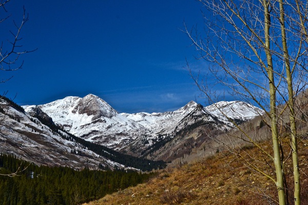Paradise Divide Print