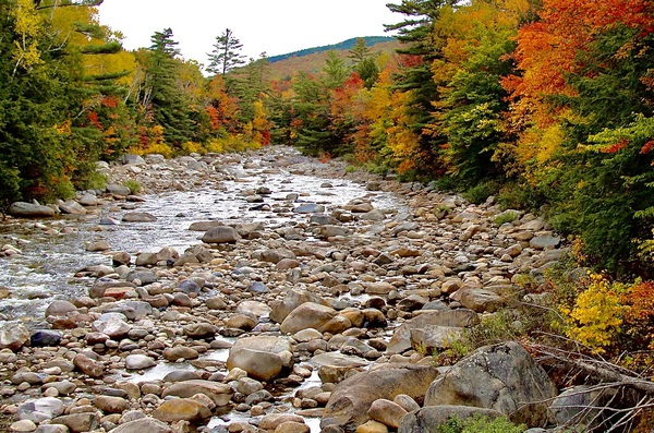 Creekside Colors by DB Photos