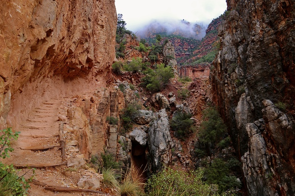 31DFACCC 3FB5 4218 B7AD 07A375ACC275 by DB Photos