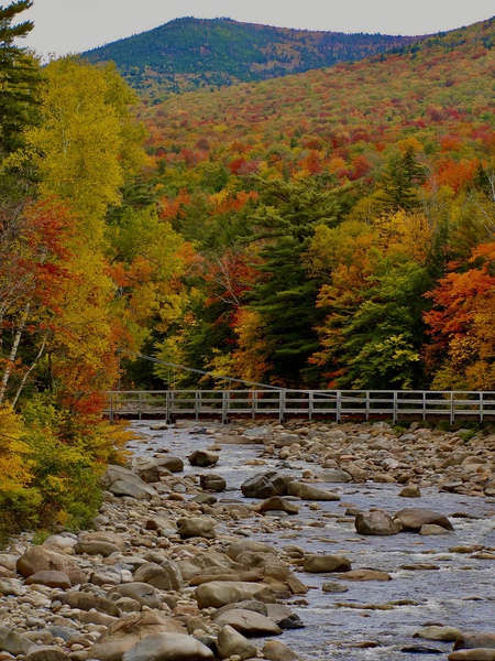A River Runs Through It by DB Photos