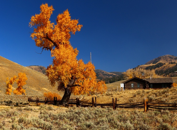 Colors Of Yellowstone  by DB Photos