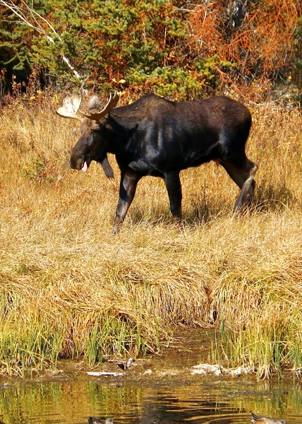 Going For A Drink by DB Photos