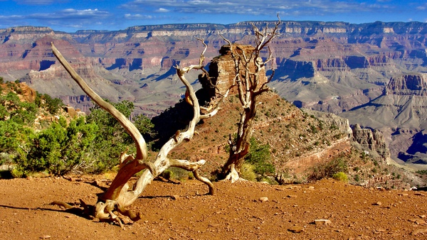 70B48B8D 328F 4358 8F01 E46CF0AE65AC by DB Photos