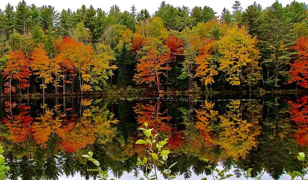 Reflections by DB Photos