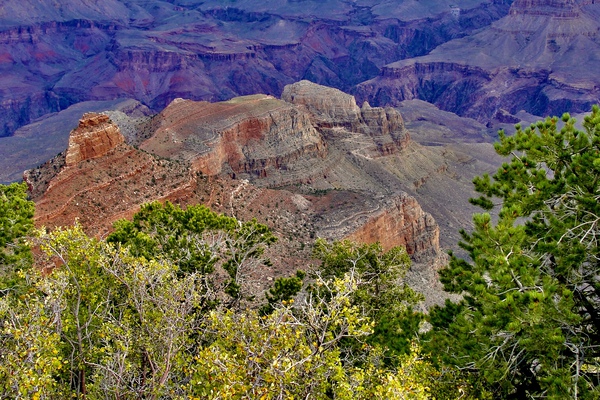 AA159B41 9CEB 4FD8 B21B 740E33B59B45 by DB Photos