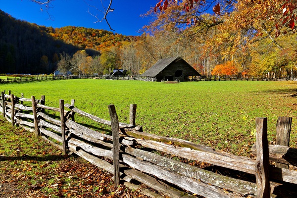Smoky Mountain Meadows by DB Photos