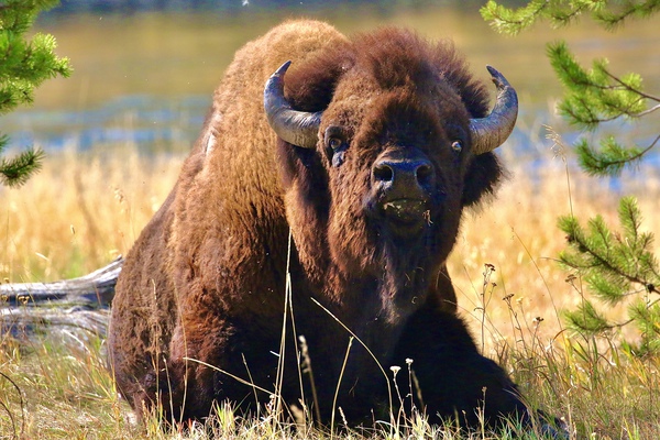 Eye To Eye by DB Photos