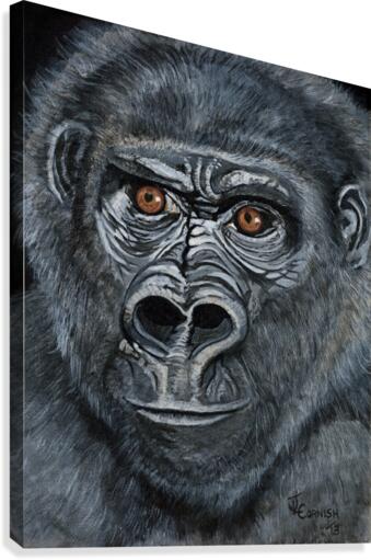 Silverback Canvas Print