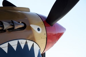 P-40 Warhawk Nose