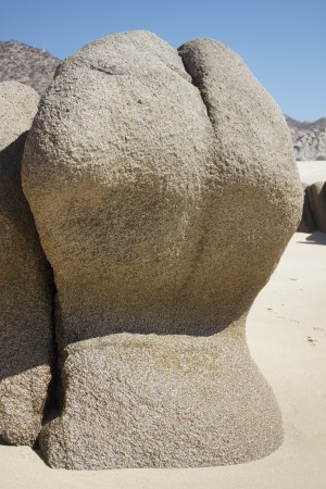 Sexy Rock by Wallshazam