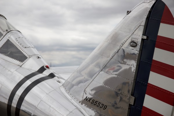 P-35 Back & Tail Print