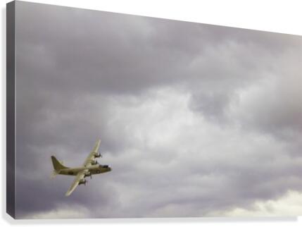 Flyingwarbird Canvas Print