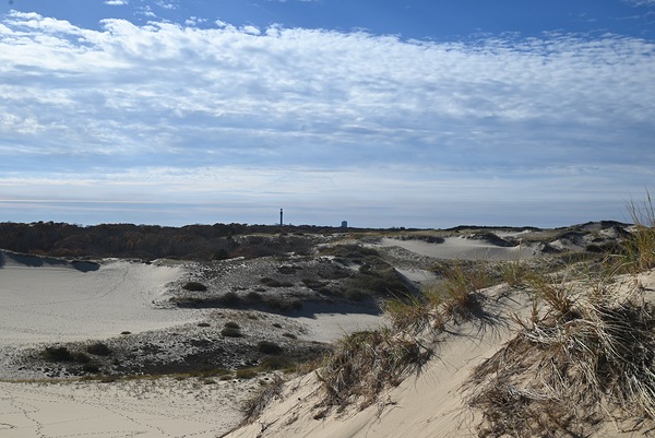 Truro Cape Cod by Nancy E Bean