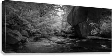 Long Shoals in Infrared Canvas Print