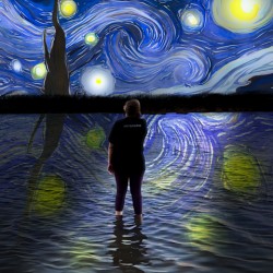 Starry Night