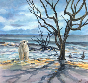Polar Bear Beach