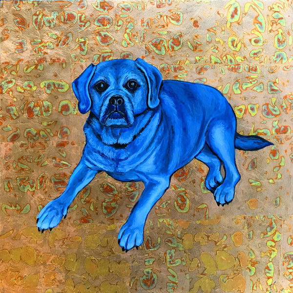 Blue Gracie by Shelly Leitheiser