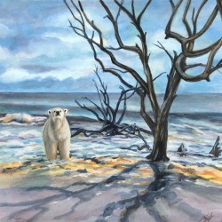 Polar Bear Beach