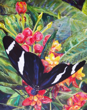 Colorado Butterfly