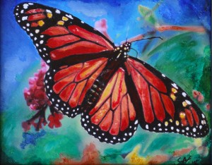 Colorado Butterfly