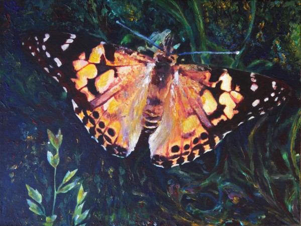Monarch Butterfly Print