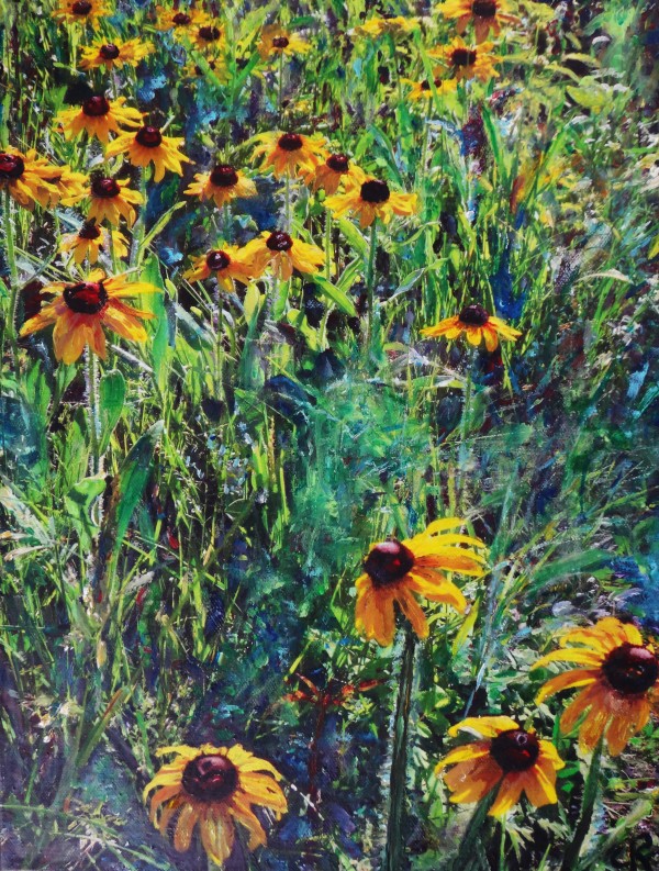 Colorado Wild Flowers by Chris Rutledge