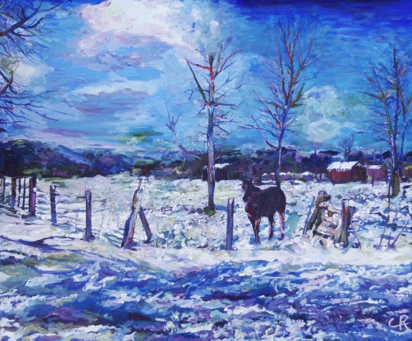 Horse in Colorado Winter by Chris Rutledge