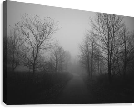 Vanishing Point Canvas Print