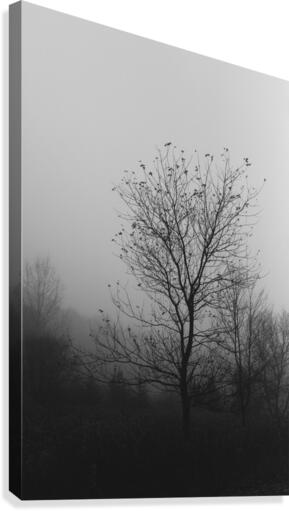Silhouette  Canvas Print