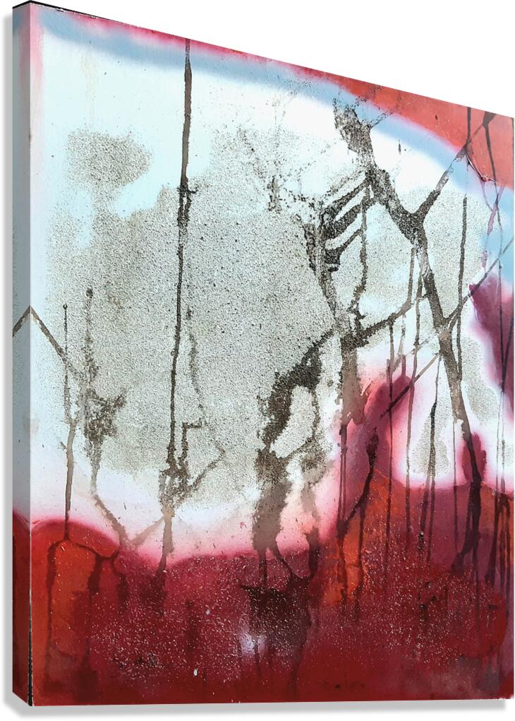 WALL NR 3 Canvas Print