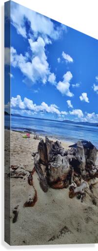 Beach 3 Canvas Print