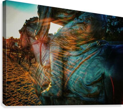 Thoroughbred Park Canvas Print