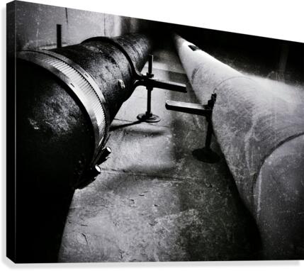 Segregated Canvas Print