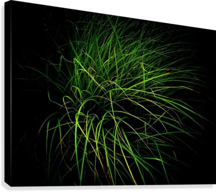 Blades Canvas Print