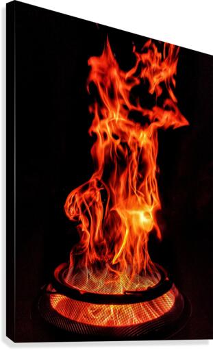 Bonfire Canvas Print