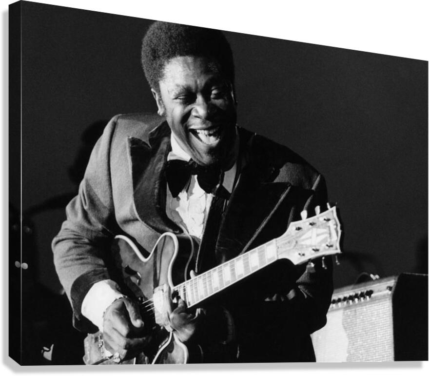 bb king Canvas Print