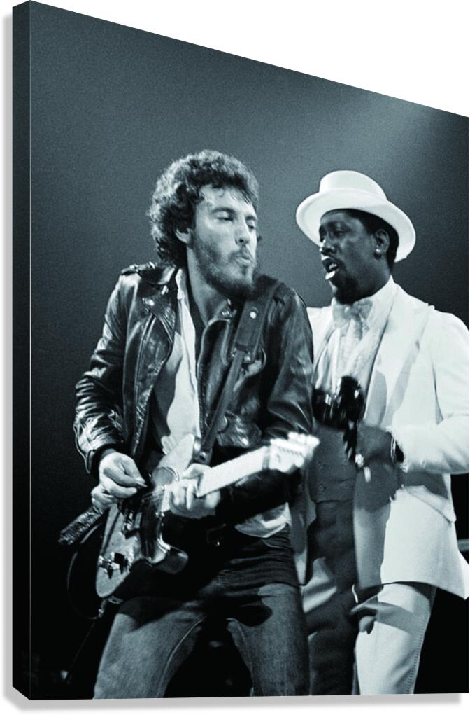 bruce springsteen Canvas Print