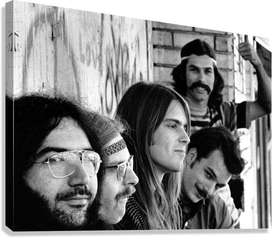  grateful dead Canvas Print