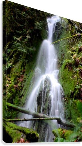 Waterfall Canvas Print