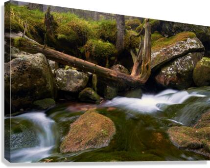 Waters powers Canvas Print