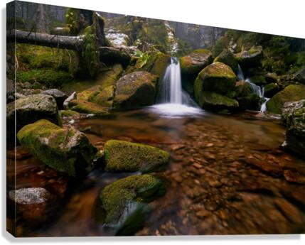 Fairytale Canvas Print
