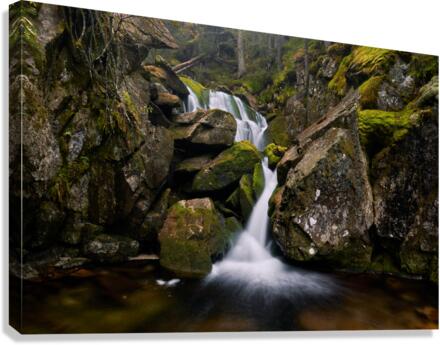 Water magic Canvas Print