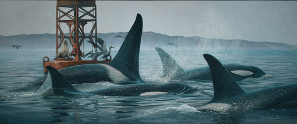 Seawolves - Orcinus orca           Acrylic on canvasboard 20x48 by Randall Scott