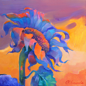 Evening of Sunflower