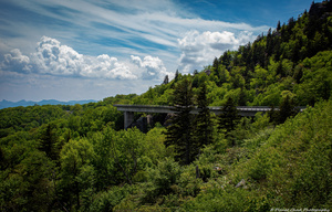 Summer at the Viaduct