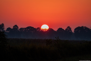 Sunrise at Pungo