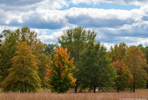 October at C. G. Hill Memorial Park