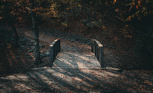 Bridge at C.G Hill Memorial Park