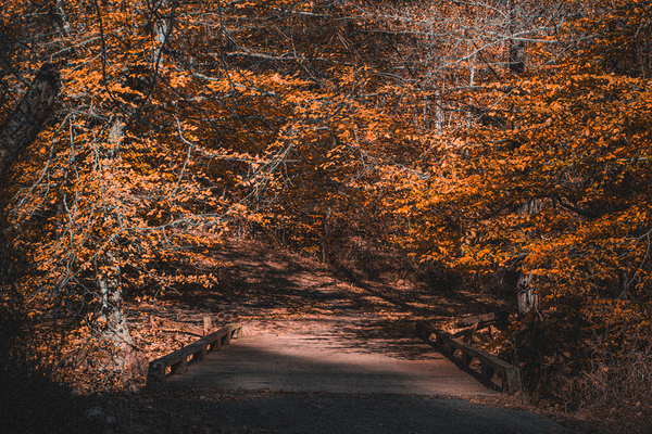 Moody Bridge at Long Creek by Chad Meyer