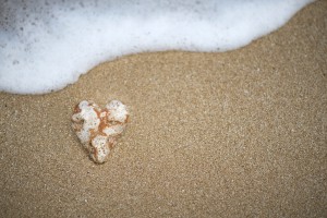 Sea My Love...